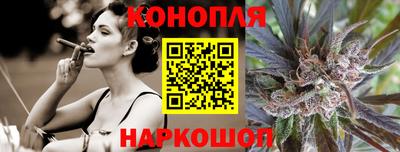 крисы Донской