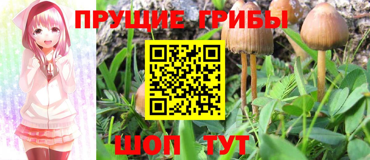 Нарткала  Галлюциногенные грибы мицелий  Вход с VPN 