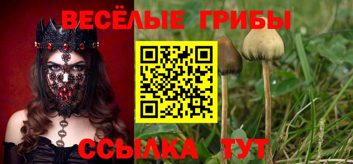 Галлюциногенные грибы мухоморы Нарткала